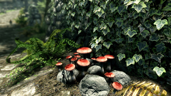 The Elder Scrolls V Skyrim Special Edition Game Download
