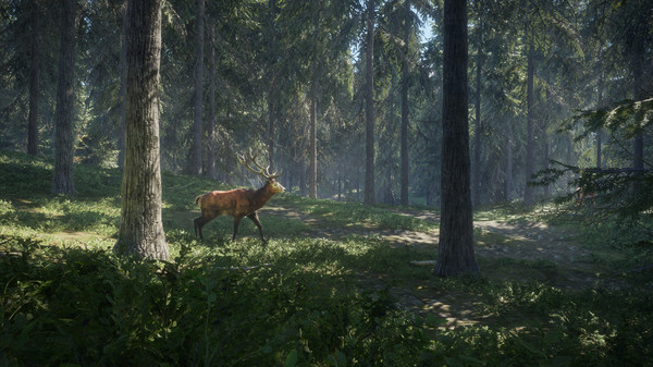 theHunter Call of the Wild PC Game Free Download