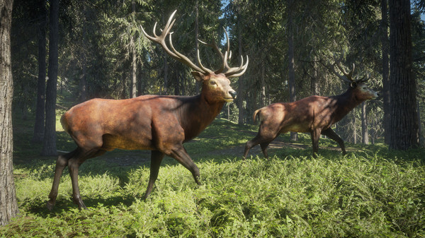 theHunter Call of the Wild PC Game Free