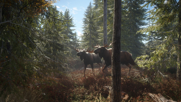 theHunter Call of the Wild PC Game Download