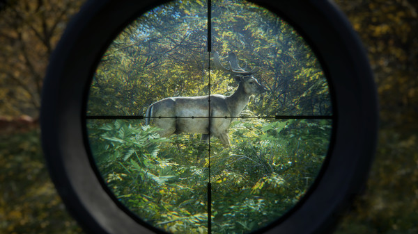 theHunter Call of the Wild Game Free Download