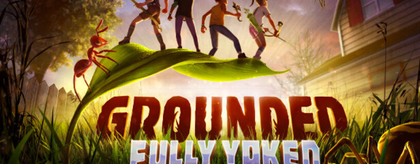 Grounded PC Game Free Download